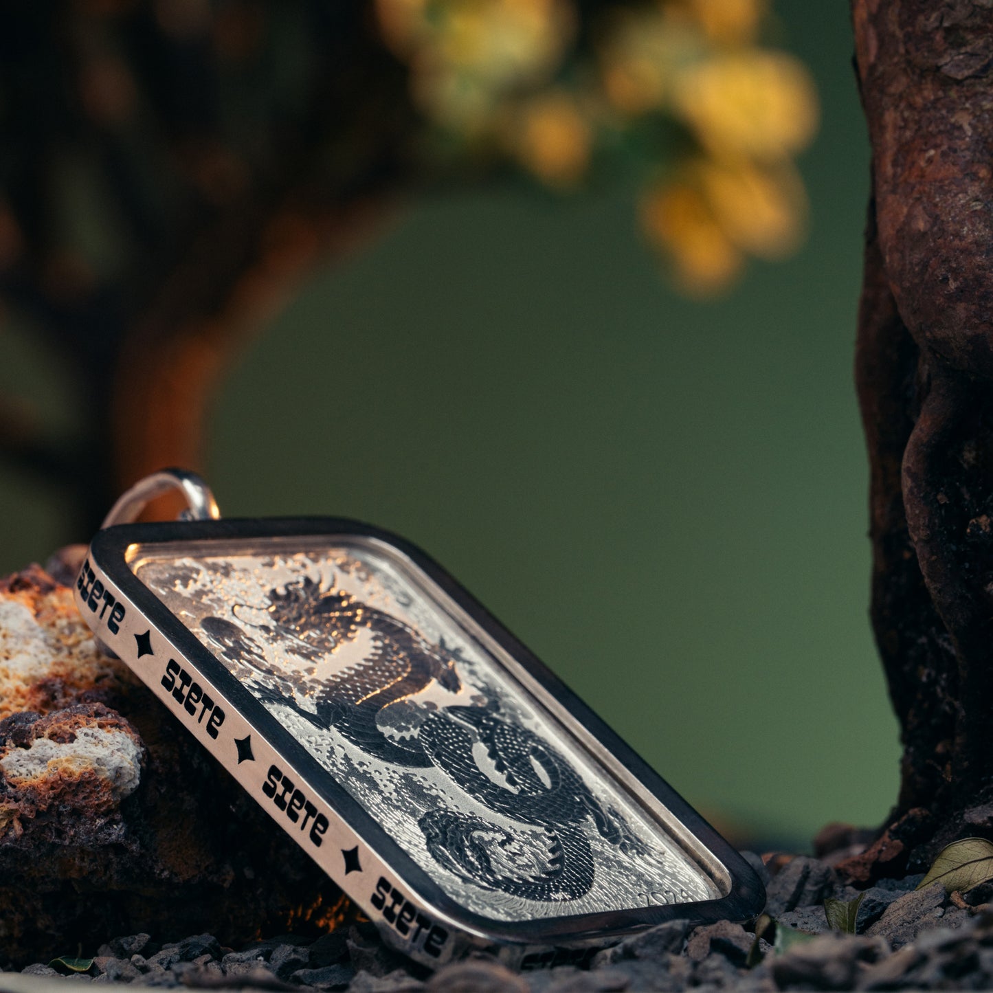 Dragon Coin Pendant – 2024 Perth Mint Australian Dollar Coin in .925 Silver Bezel