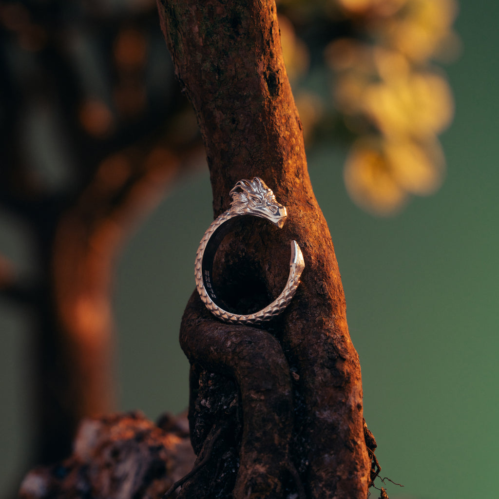 Dragon Ring