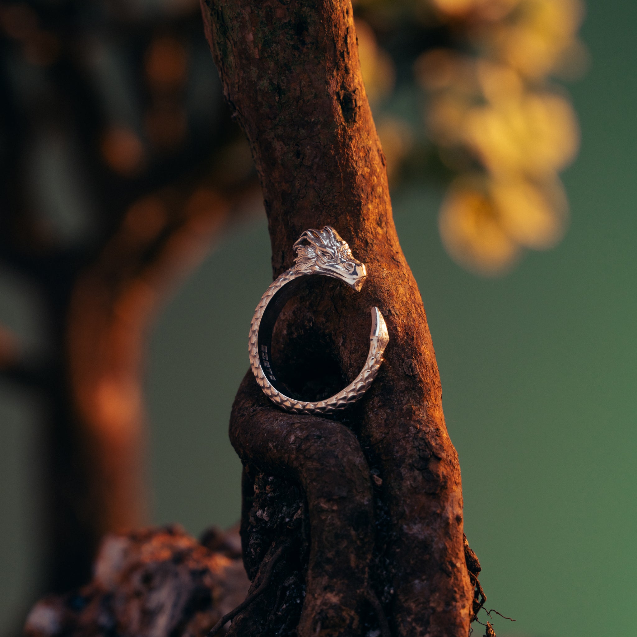 Dragon Ring